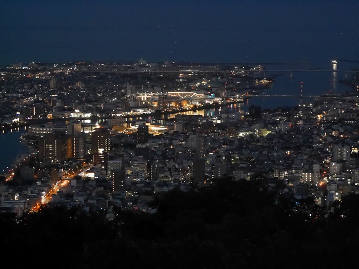 眉山からの夜景